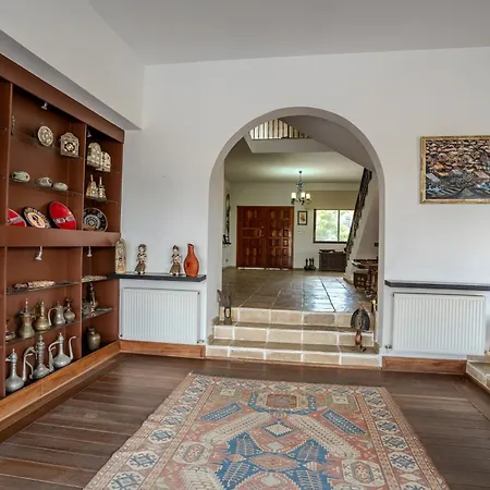 فيلة Great - Amazing Views